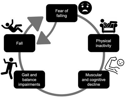 Scale development to evaluate differences between concern about falling and fear of falling: the concern and fear of falling evaluation